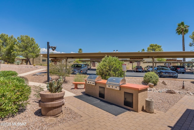 view of patio / terrace with area for grilling