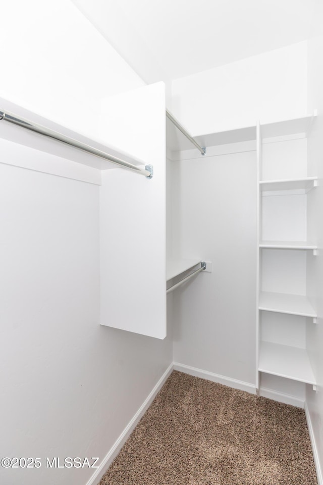 walk in closet featuring carpet