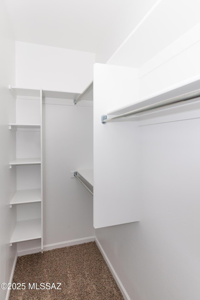 walk in closet with carpet