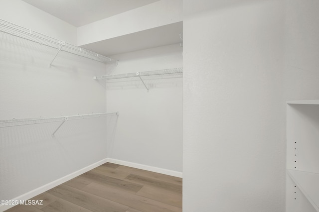 spacious closet featuring wood finished floors