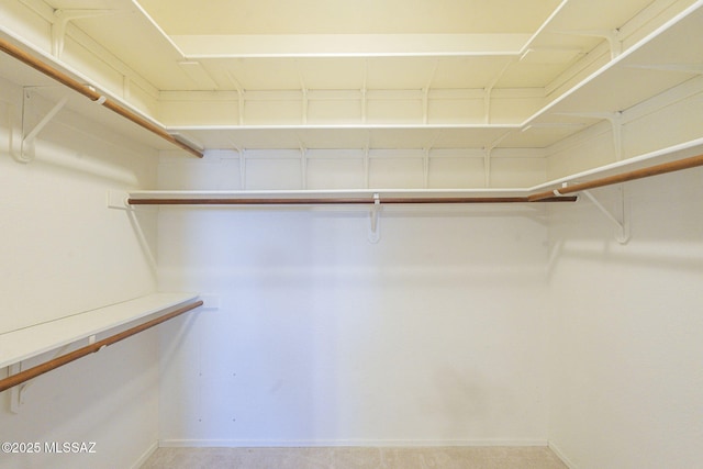 view of walk in closet