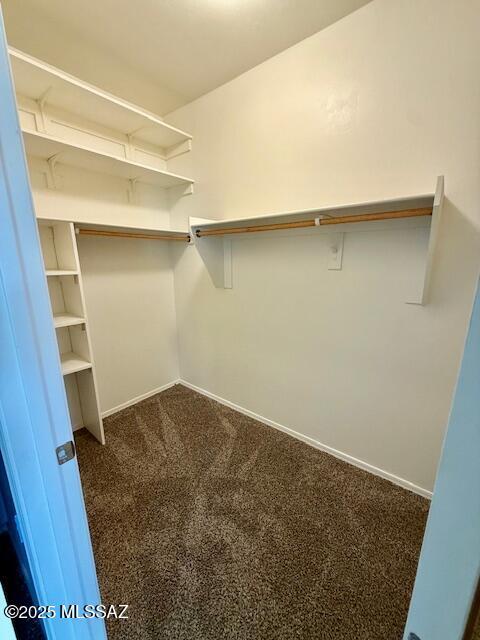 spacious closet with dark colored carpet