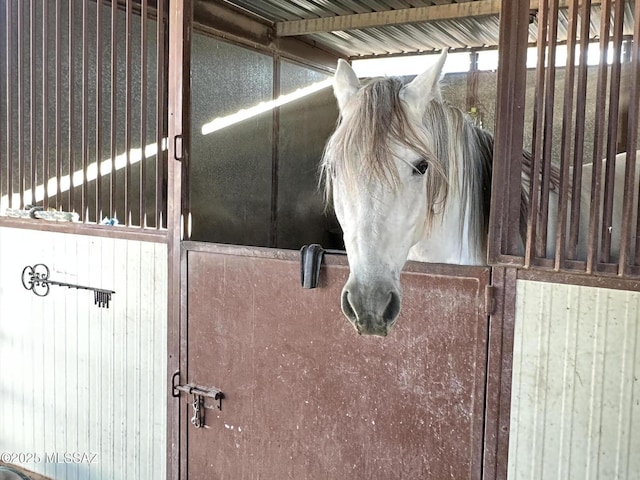 view of horse barn