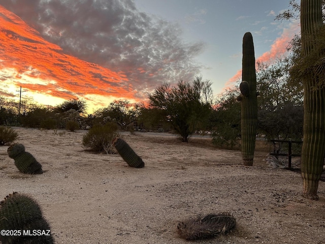 view of nature at dusk