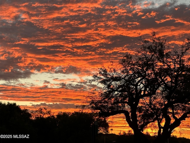 view of nature at dusk