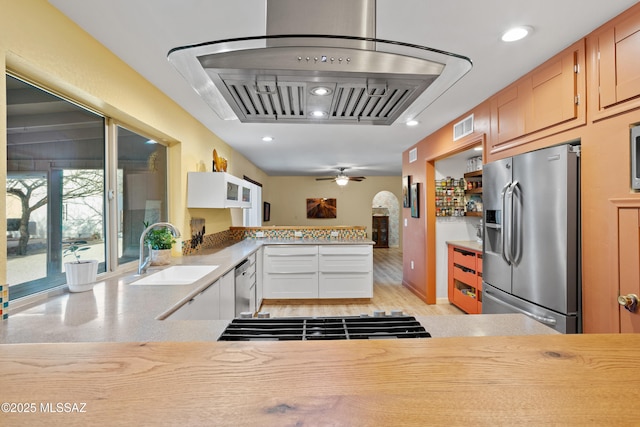 kitchen with visible vents, range hood, stainless steel appliances, light countertops, and a sink