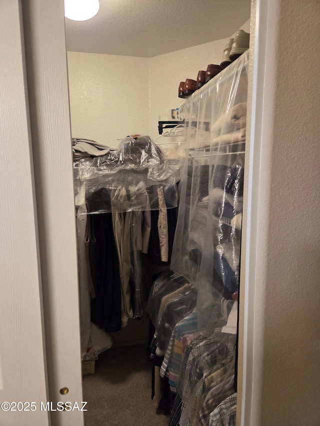 spacious closet featuring carpet