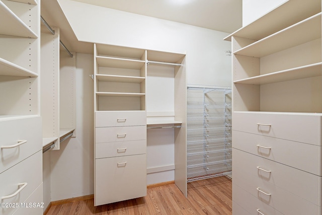 walk in closet featuring light wood-type flooring