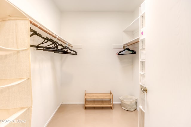 view of spacious closet