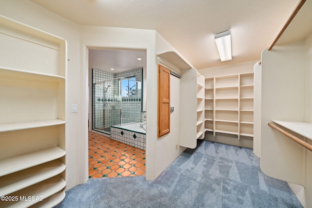 spacious closet with carpet floors