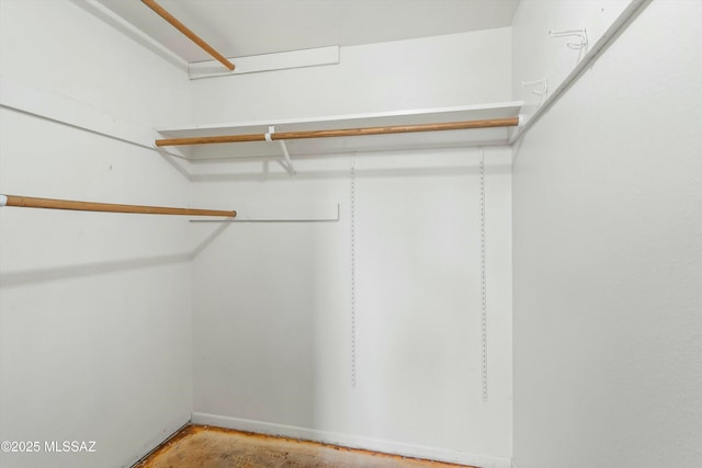 view of walk in closet