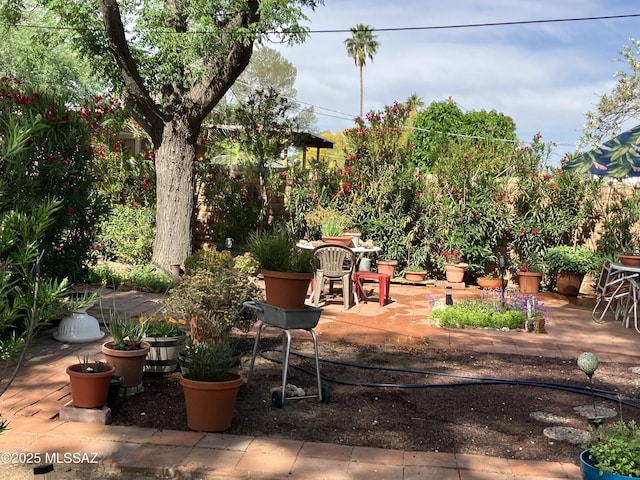 view of yard with a patio area