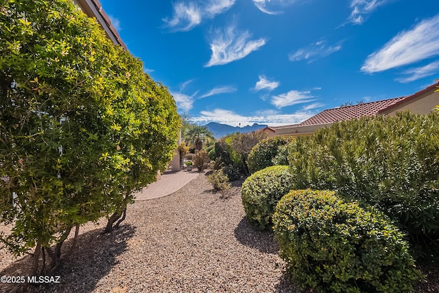 view of yard with a mountain view