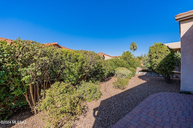 view of yard featuring a patio