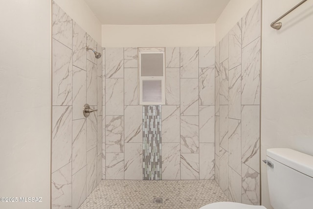 4510 E 6th St, Tucson, AZ 85711 - full bathroom featuring toilet and a stall shower