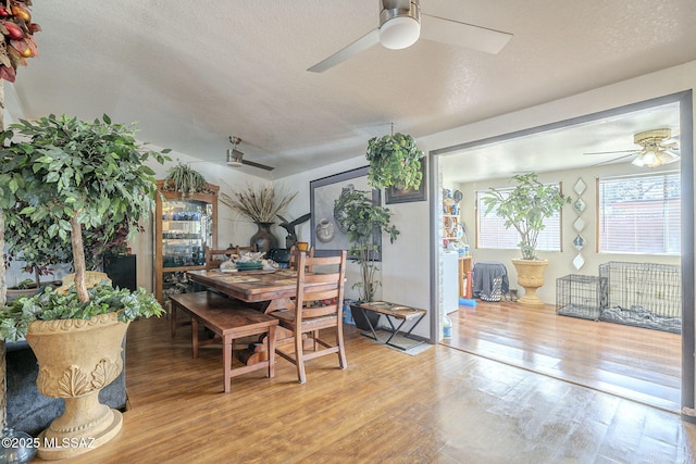 dining area with ceiling fan, a textured ceiling, and wood finished floors