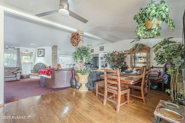 dining space featuring vaulted ceiling with beams, plenty of natural light, ceiling fan, and wood finished floors