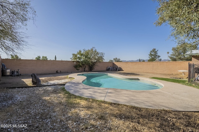 view of pool featuring a fenced in pool, a fenced backyard, and a patio