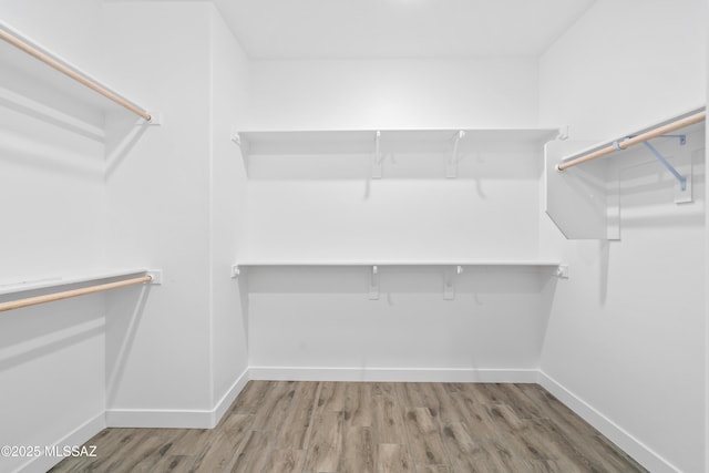 walk in closet featuring wood finished floors