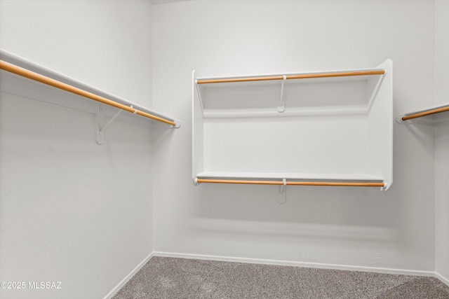 walk in closet with carpet