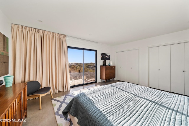 bedroom with two closets