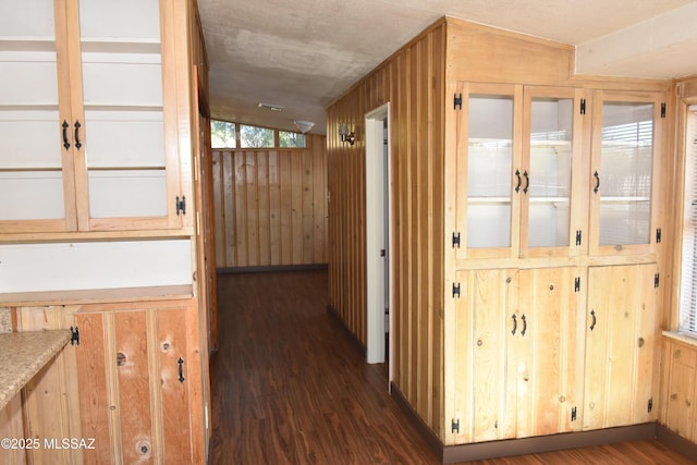 hallway featuring wooden walls and dark wood-style flooring