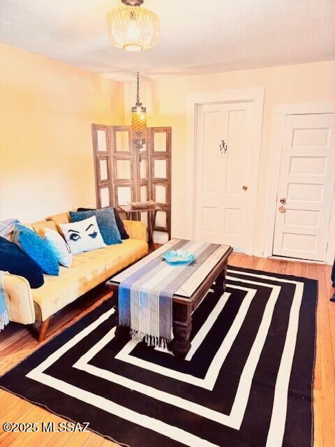 living room featuring wood finished floors