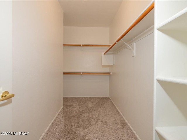 walk in closet with carpet flooring