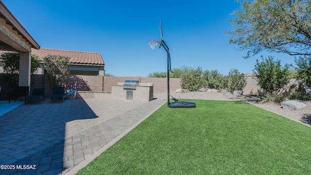 view of yard featuring a fenced backyard, a patio, and area for grilling