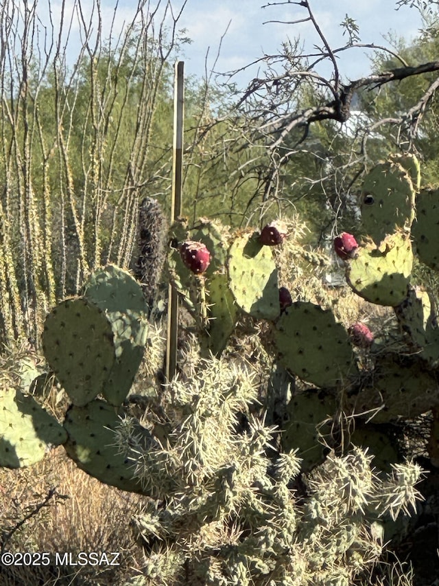 12721 S Cherokee Ln, Tucson AZ, 85736 land for sale