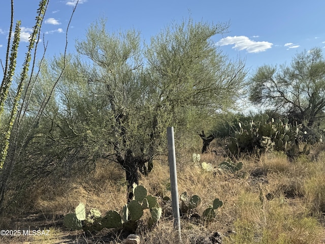 Listing photo 2 for 12721 S Cherokee Ln, Tucson AZ 85736