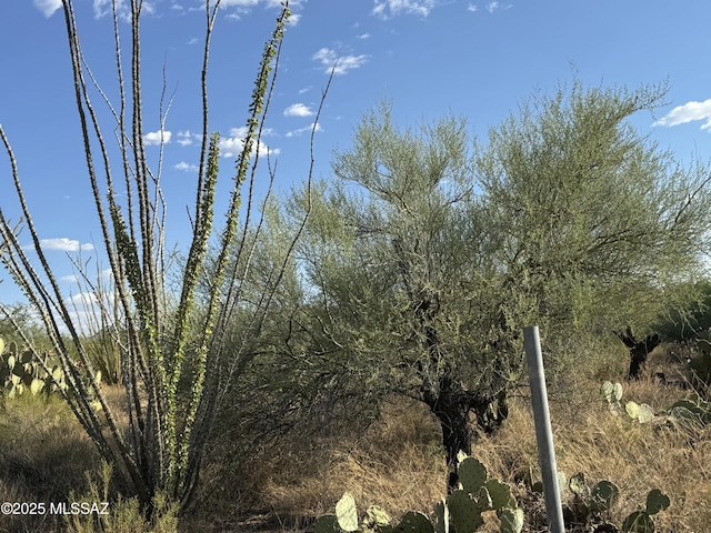 Listing photo 3 for 12721 S Cherokee Ln, Tucson AZ 85736