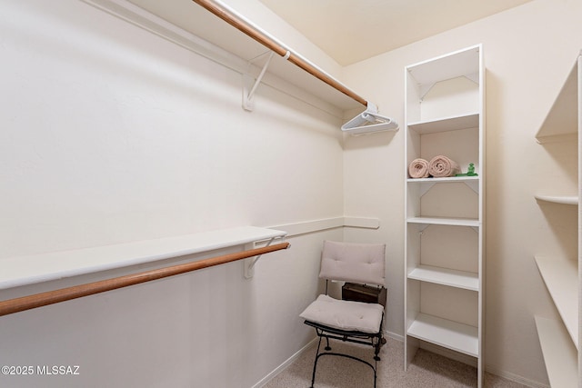 spacious closet featuring carpet floors