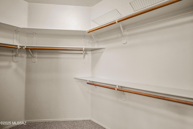 spacious closet with carpet floors