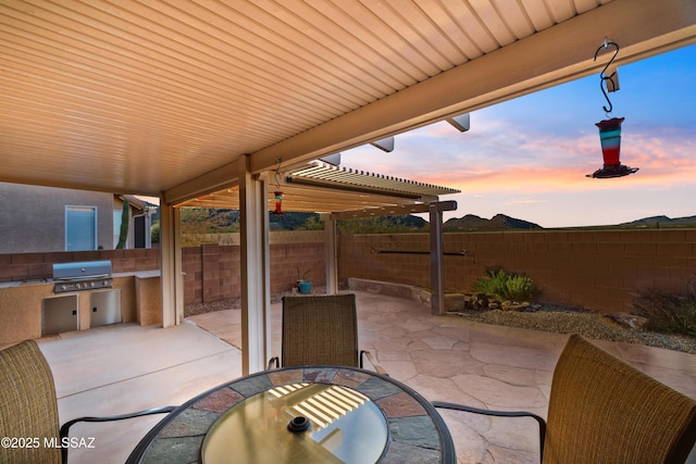 view of patio / terrace featuring grilling area, outdoor dining area, area for grilling, and a fenced backyard