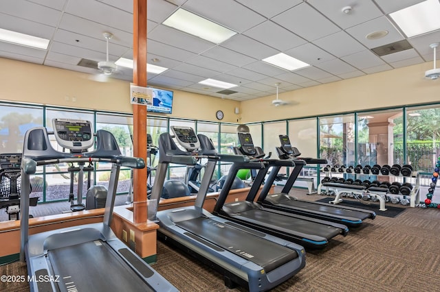 workout area with a ceiling fan, a drop ceiling, and carpet flooring