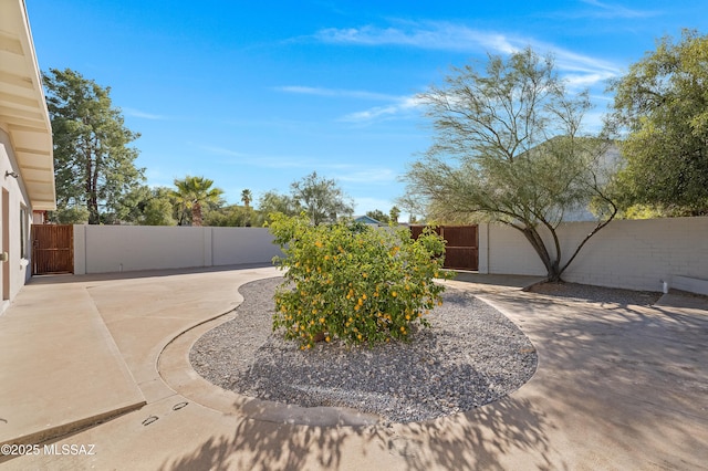 view of yard featuring a fenced backyard and a patio