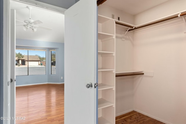 walk in closet with ceiling fan and wood finished floors