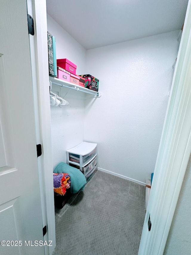 walk in closet featuring carpet floors