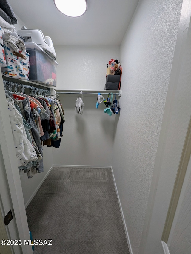 walk in closet with carpet floors