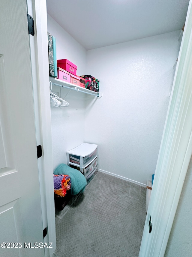 spacious closet with carpet floors