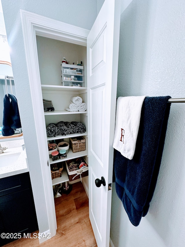 closet with a sink