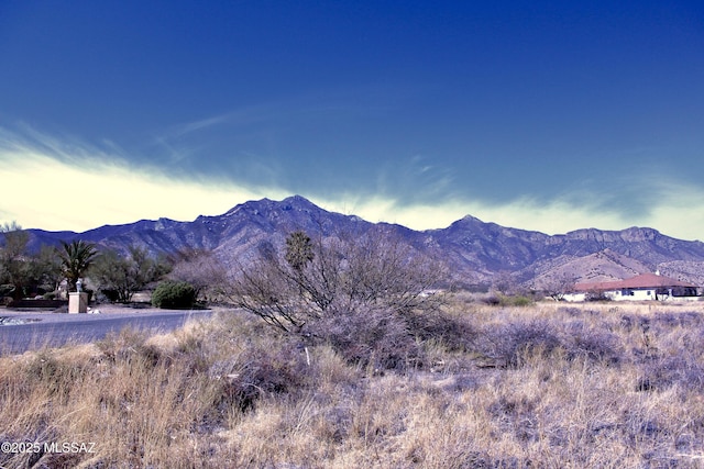 Wild Horse Unit 37, Hereford AZ, 85615 land for sale