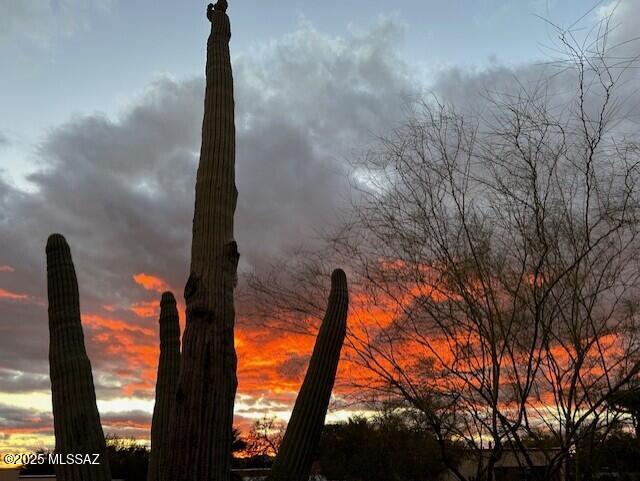 view of nature at dusk