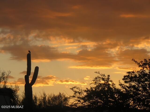 view of nature at dusk