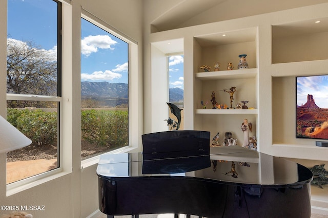 home office featuring built in shelves