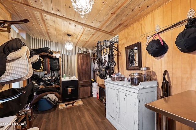 spacious closet with a notable chandelier and wood finished floors