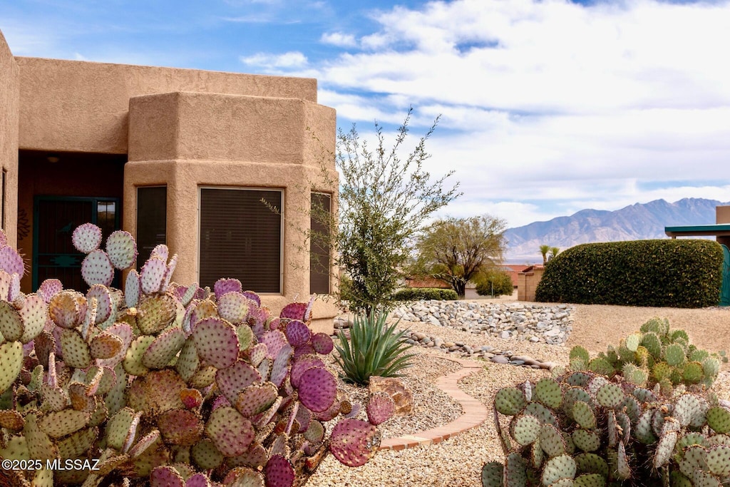 view of property exterior with a mountain view and stucco siding