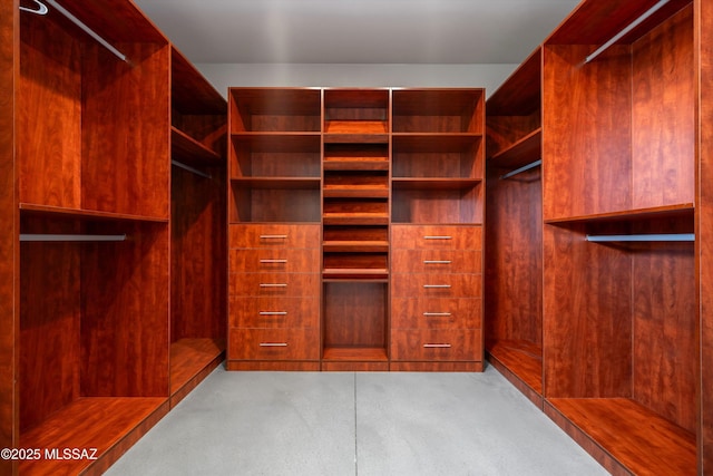 view of walk in closet