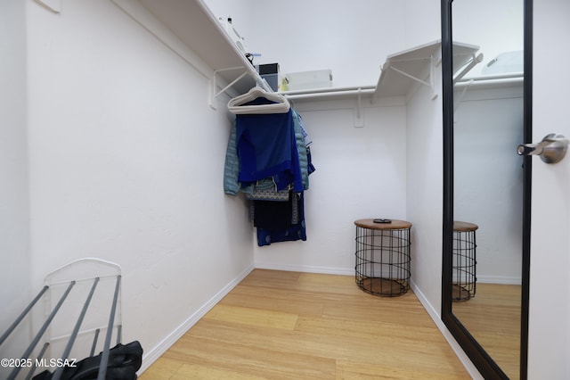 walk in closet featuring wood finished floors